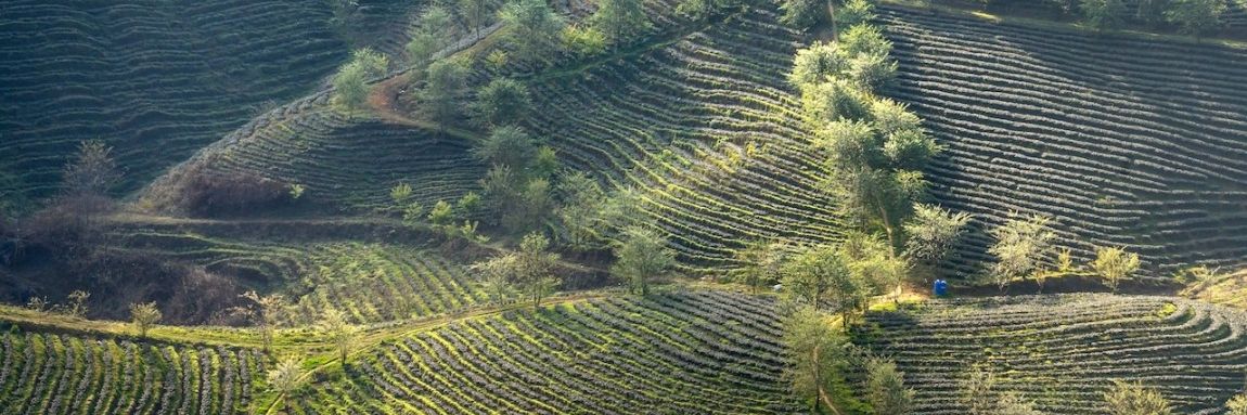 What is Slope Stability and Why Does it Matter What is Slope Stability and Why Does it Matter