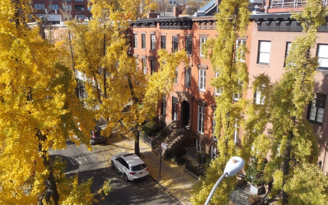 Mfs Engineers 115Th Street Library Nycddc Mfs Engineers 115Th Street Library Nycddc