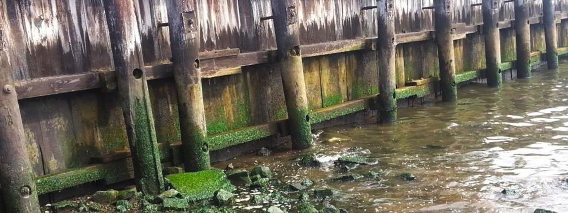 Marciante Millet Jackson Park Bulkhead Sw Face Marciante Millet Jackson Park Bulkhead Sw Face