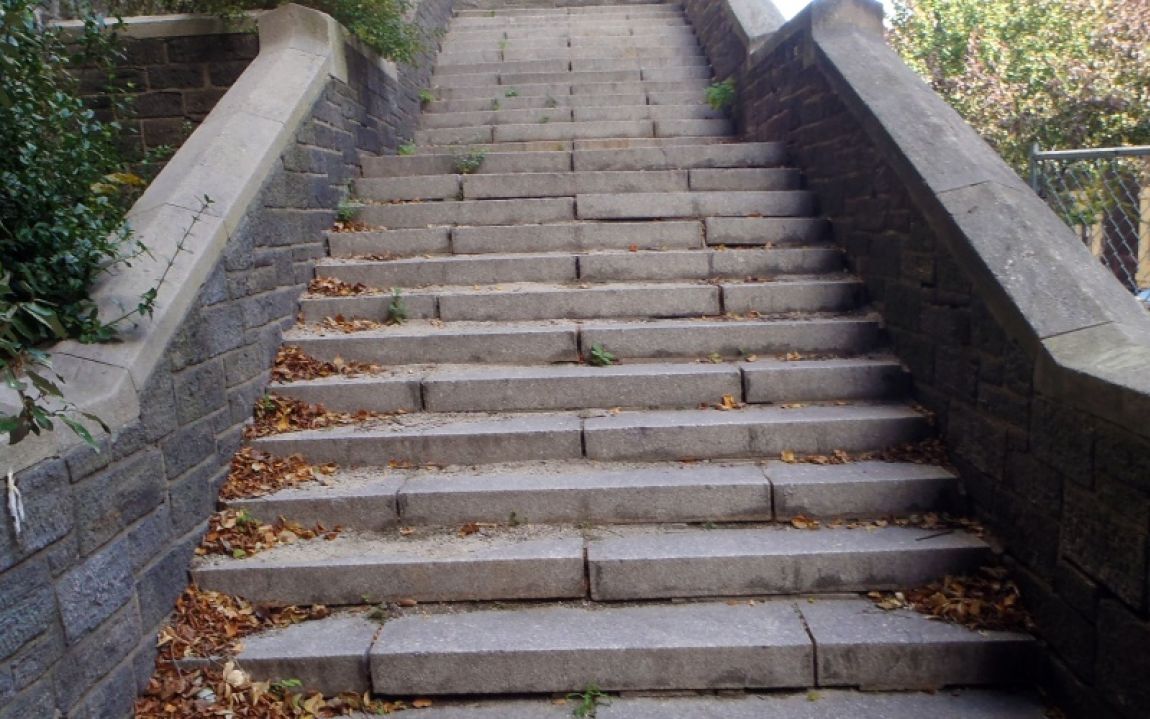 Nyc Parks Rec Mfs Nyc Parks Rec Mfs