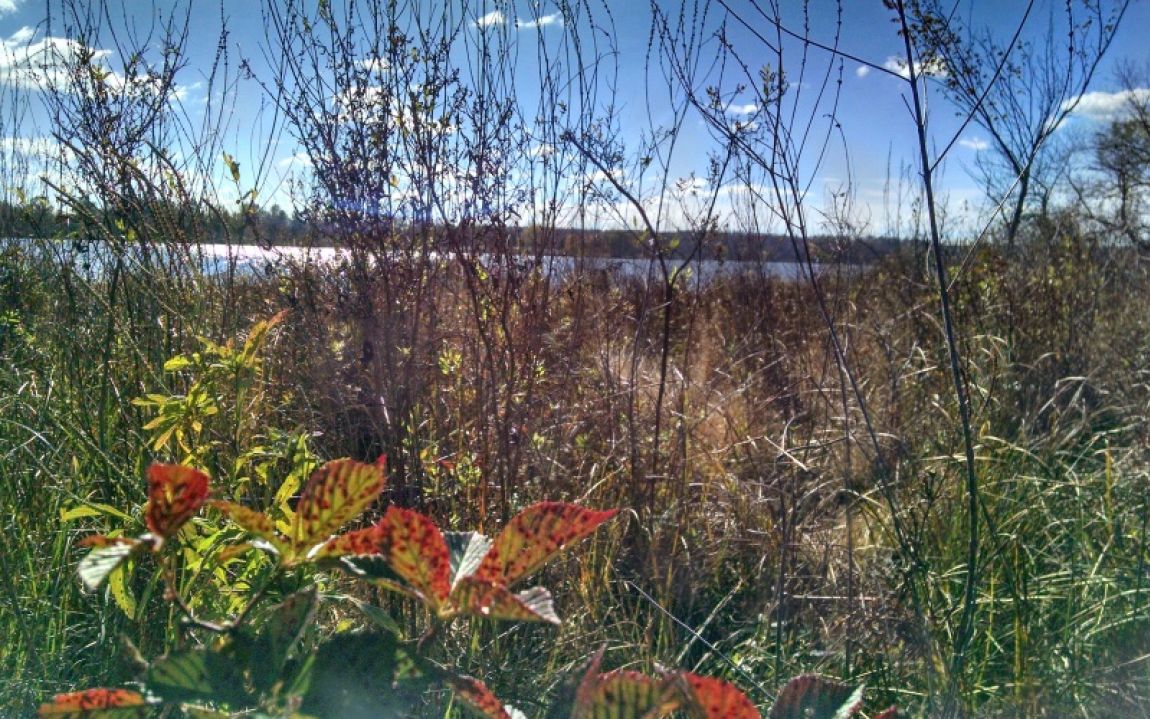 Img 20141024 111433904 Hdr Img 20141024 111433904 Hdr